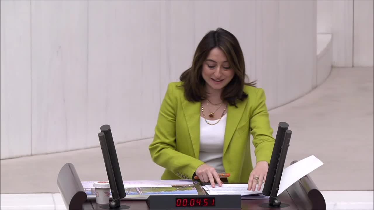 Bartın Milletvekili Bankoğlu: "Bartın Irmağı Boyunca Beton Duvar Çin Seddi Gibi Örülüyor"