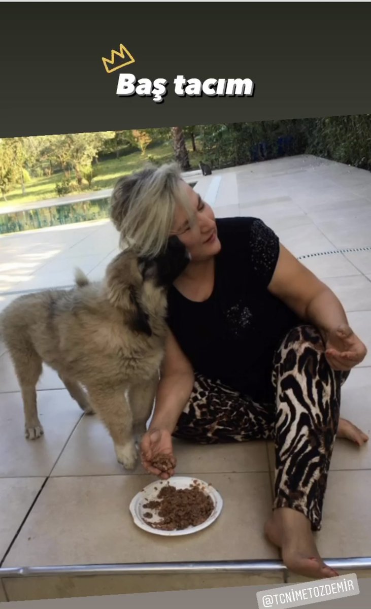 Nimet Özdemir'den Sokak Hayvanları Sorunu Hakkında Çarpıcı Açıklama