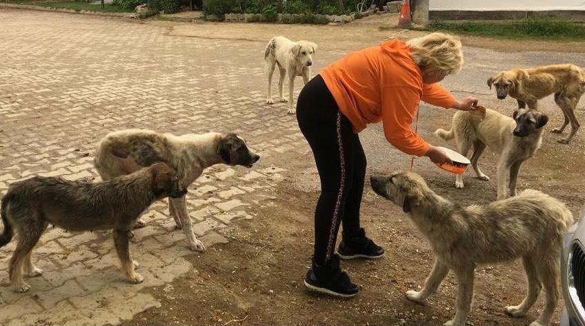 "İnsanoğlunun Vahşiliği: Yüce Yaradan'a Karşı Bir İhanet"